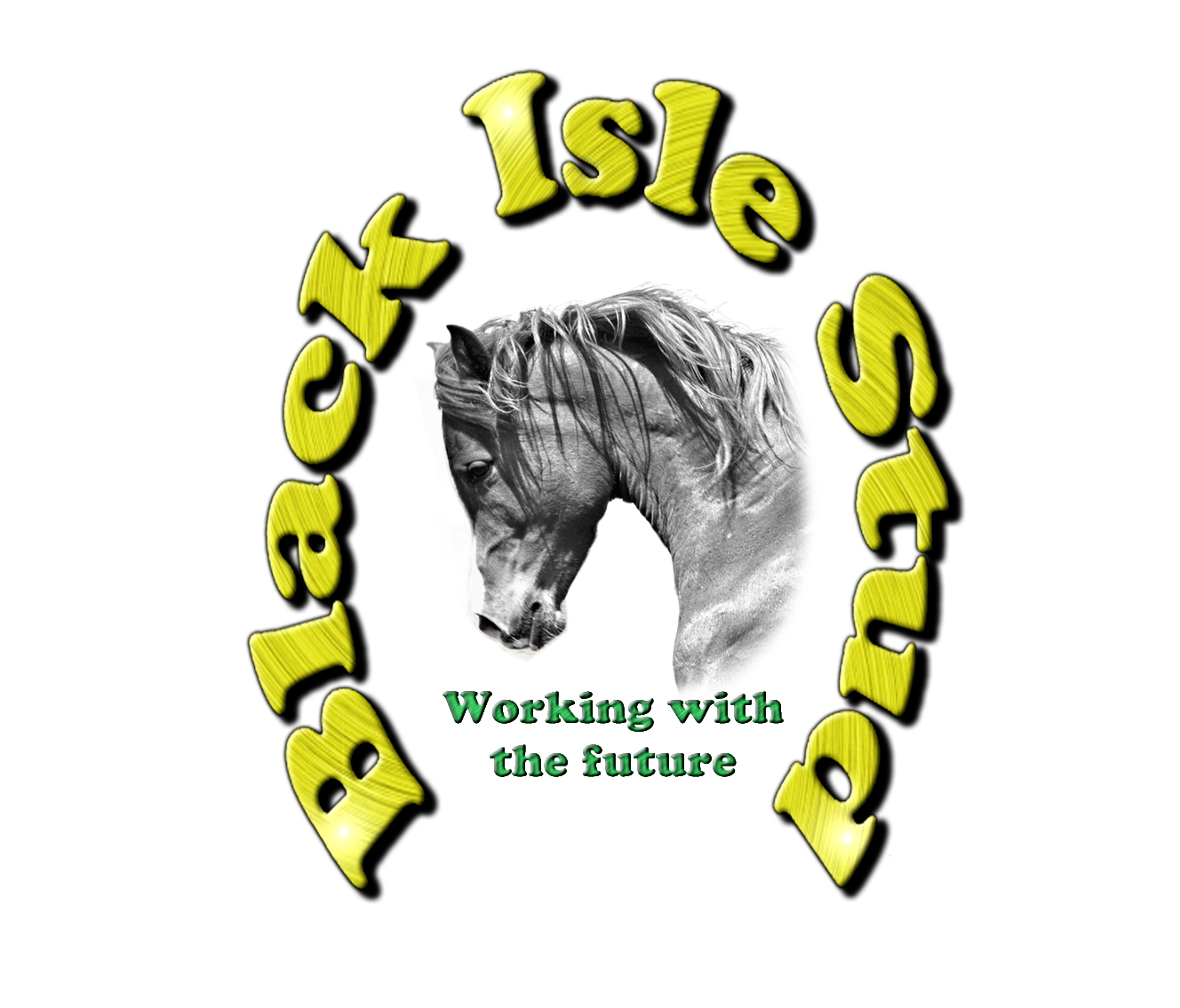 BlackIsleStudlogo1
