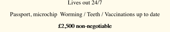 Lives out 24/7