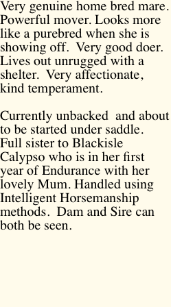 Very genuine home bred mare.