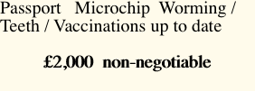 Passport   Microchip 